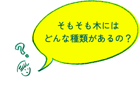 そもそも木にはどんな種類があるの？