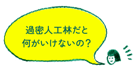 過密人工林だと何がいけないの？