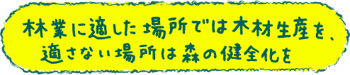 森林に適した場所では木材生産を