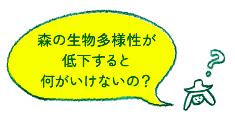 森の生物多様性が低下すると何がいけないの？