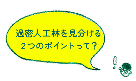 過密人工林を見分ける２つのポイントって