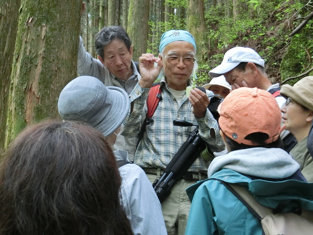 身近な樹木調べ 