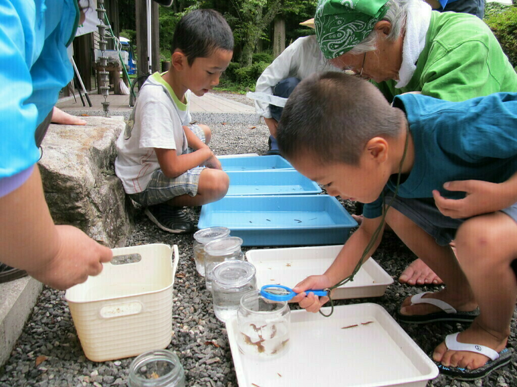 夏休み昆虫観察会