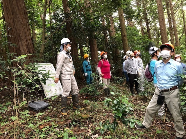 地域の森・健康診断