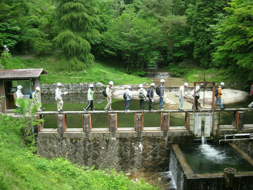 森林と災害　