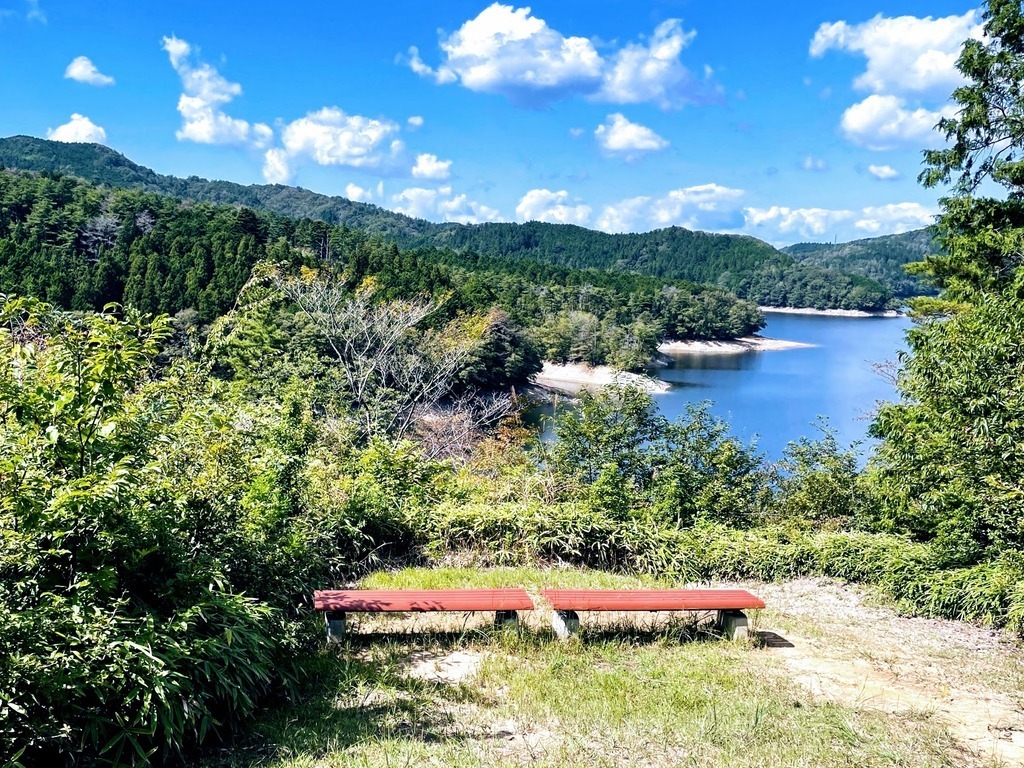 森ヨガ体験会 in 三河湖園地