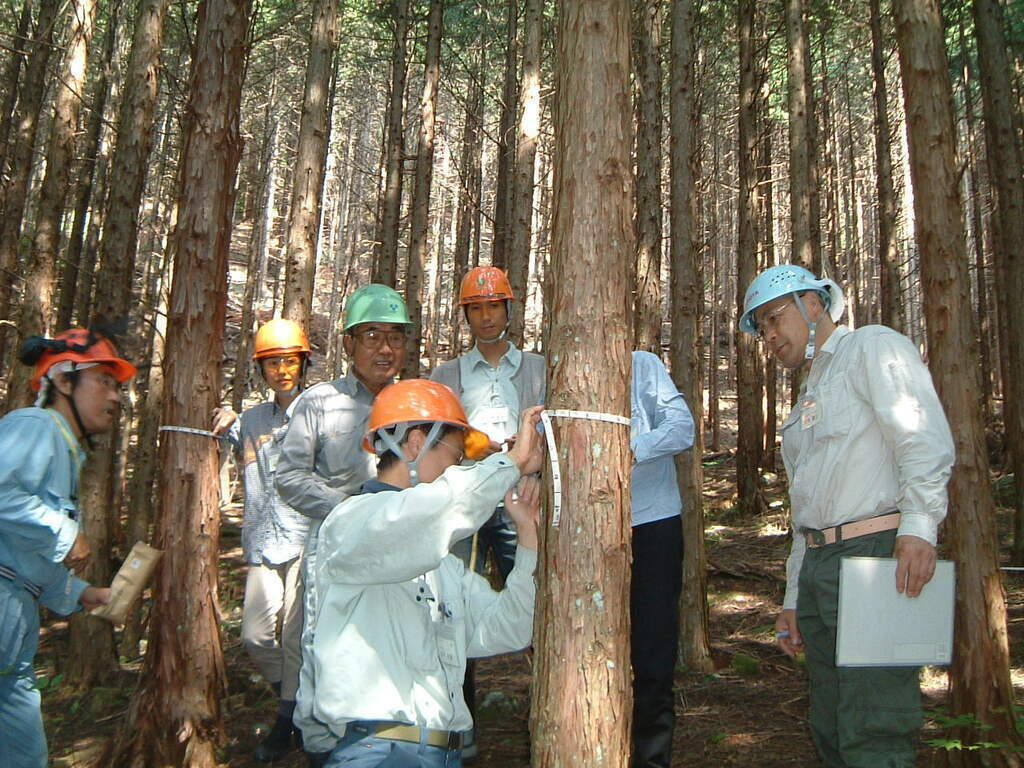 地域の森・健康診断