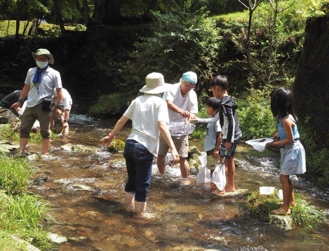 夏休み昆虫教室