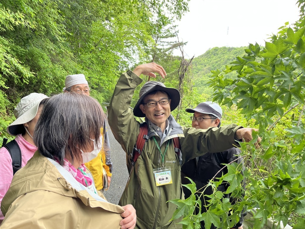 ゆっくり森の樹木入門