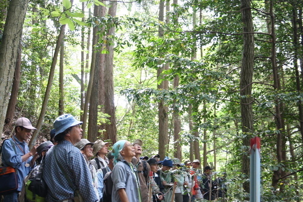 森林観察リーダー養成講座