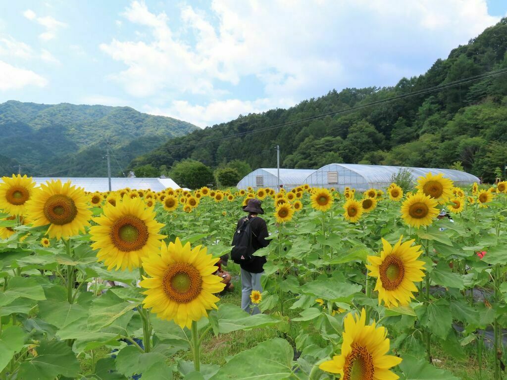 矢作川水源基金バスツアー