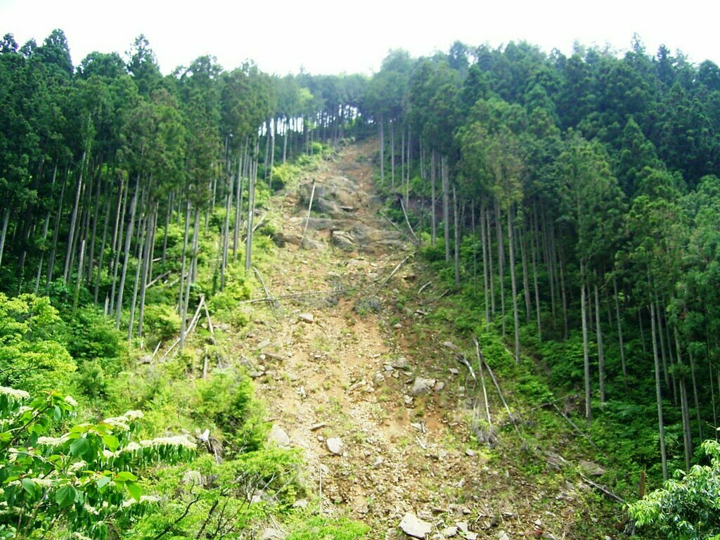 森林と災害　～豪雨災害を忘れない～