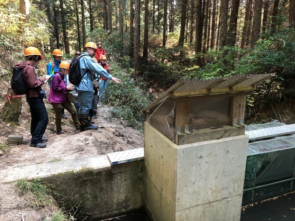 森のチカラでまちを守る