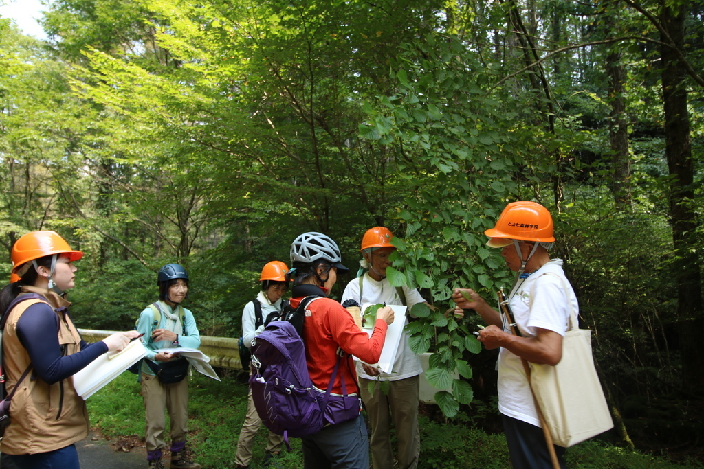 ゆっくり森の樹木入門