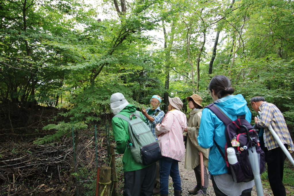 ゆっくり森の樹木入門