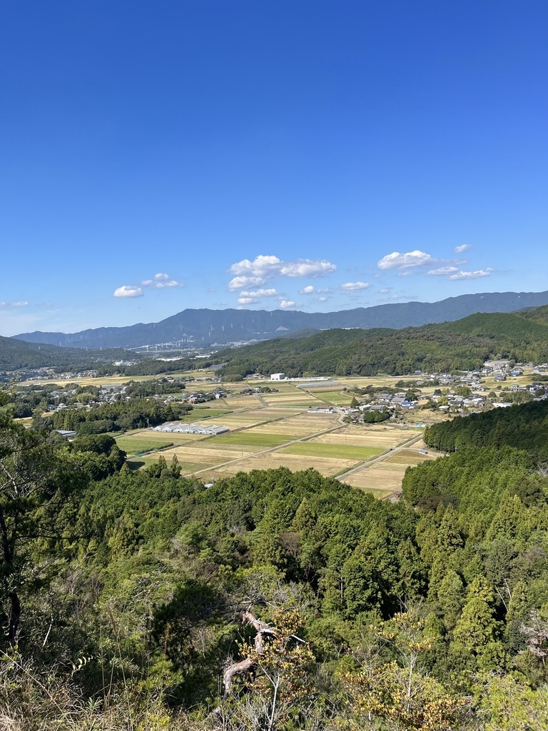 楽しい森林ウォーキング