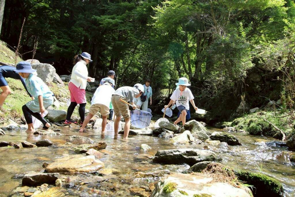 夏休み昆虫教室
