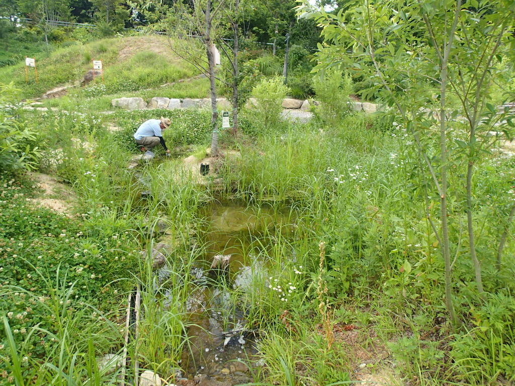 不思議な微小水生生物ウズムシの採集観察講座